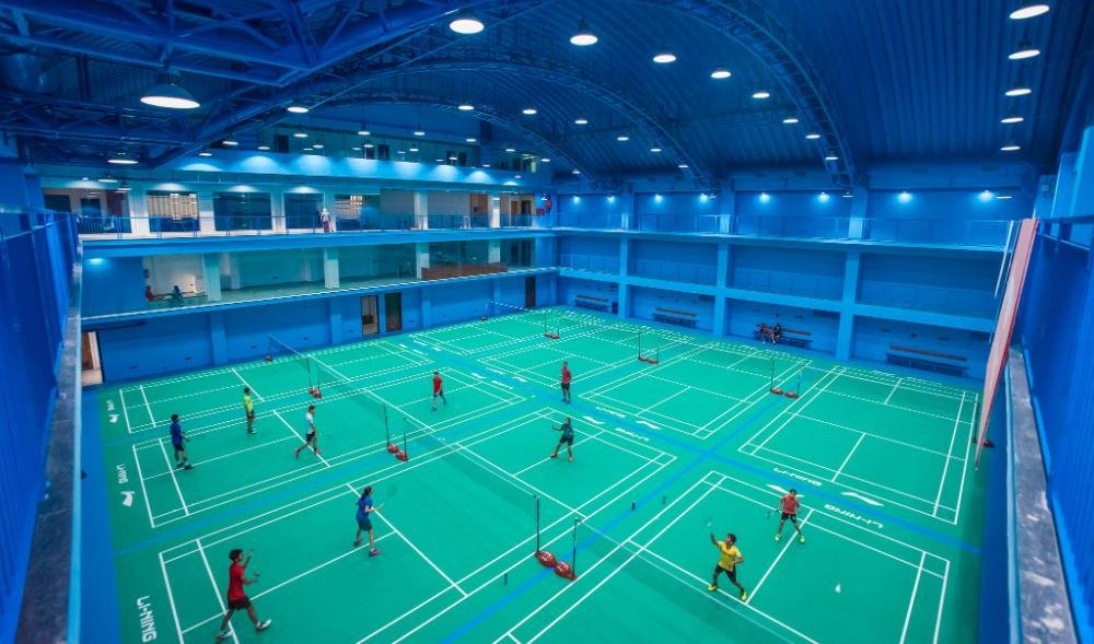Vinyl Badminton Court
